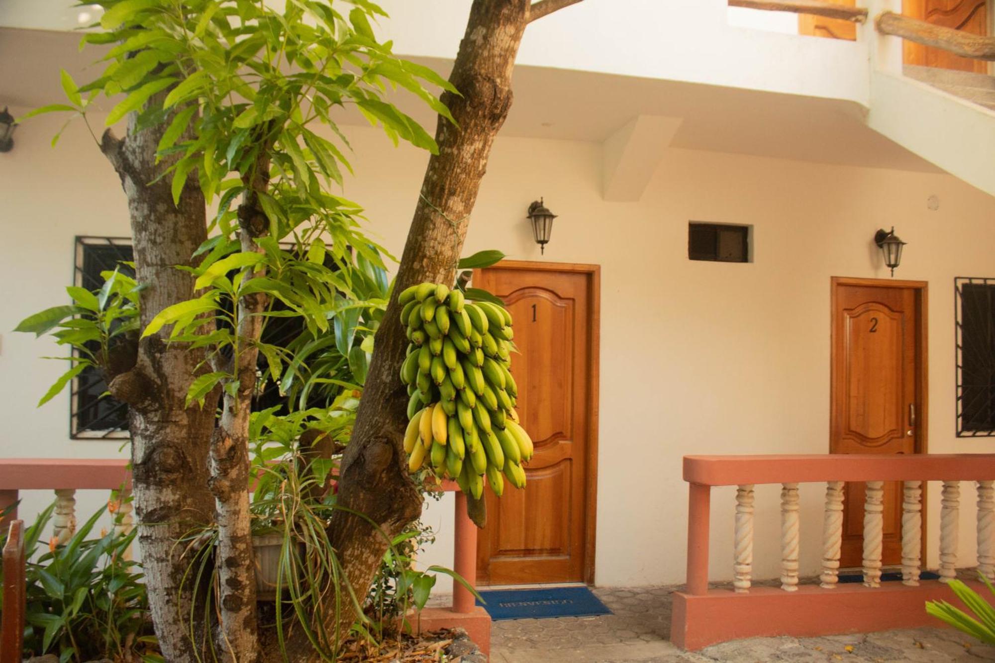 Casa De Nelly Hotel Puerto Baquerizo Moreno Bagian luar foto